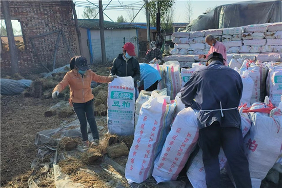 钢厂铁路装载加固防滑草支垫的案例分享(防滑草垫多少钱一块)