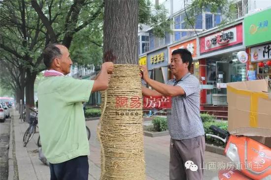 速度猛戳！独家记录漪汾街封闭改造工程前夕实景！